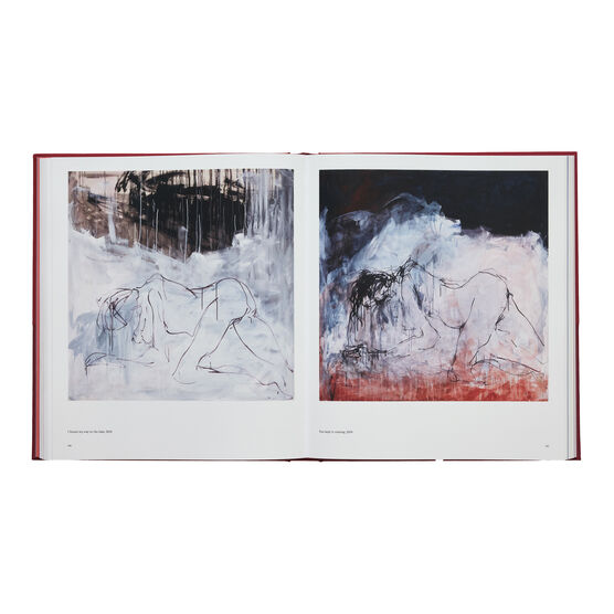 Tracey Emin Paintings